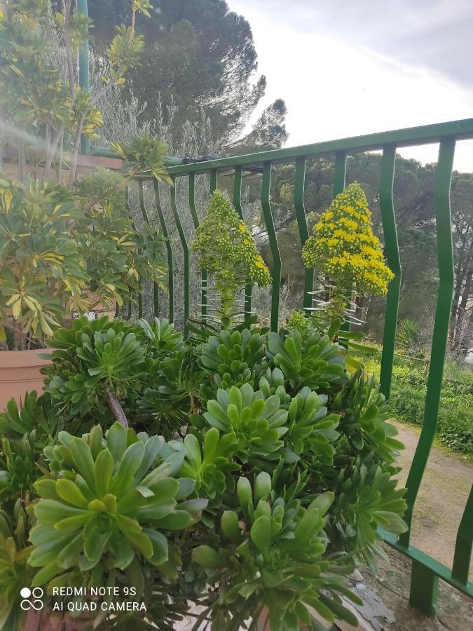 B&B Borgo Pileri Mazzarino Екстер'єр фото